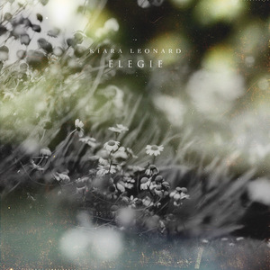 地球熟女黑白性生活色情视频
