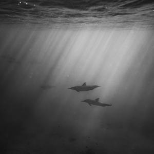 地球熟女黑白性生活色情视频
